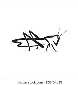 grasshopper