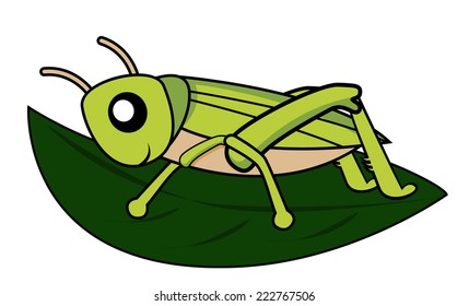 grasshopper