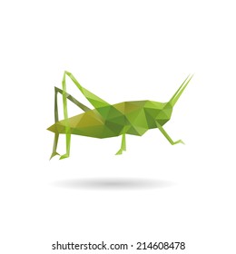 Grasshopper abstract isolated on a white backgrounds, vector illustration