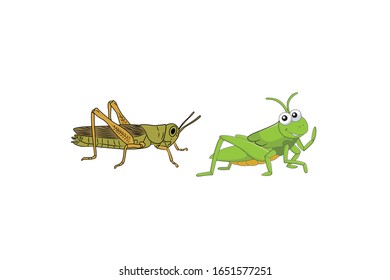 Grasshopper Animal Cartoon Vector Illustration