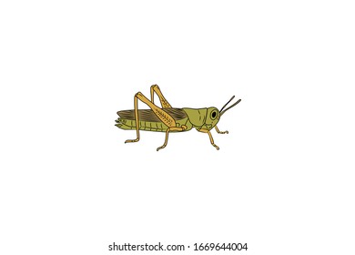 Grasshopper Animal Cartoon Vector Illustration