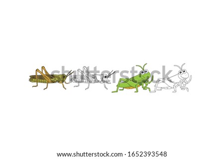 Grasshopper Animal Cartoon Vector Illustration Bundle