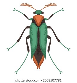 Grasshopper beetle, green bug. Colorful insect. Nature and biodiversity insect spece. Beetle vector flat illustration.