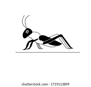 grasshopper black background icon vector