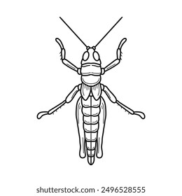 grasshopper black and white vector illustration.  mantis or cricket, insect concept, thin line symbol on white background 