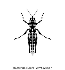 grasshopper black and white vector illustration.  mantis or cricket, insect concept, thin line symbol on white background 