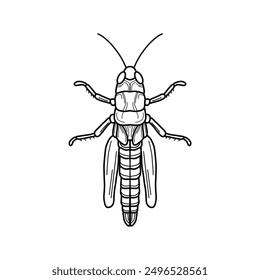 grasshopper black and white vector illustration.  mantis or cricket, insect concept, thin line symbol on white background 