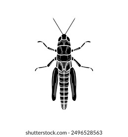 grasshopper black and white vector illustration.  mantis or cricket, insect concept, thin line symbol on white background 