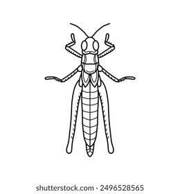 grasshopper black and white vector illustration.  mantis or cricket, insect concept, thin line symbol on white background 