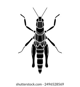 grasshopper black and white vector illustration.  mantis or cricket, insect concept, thin line symbol on white background 