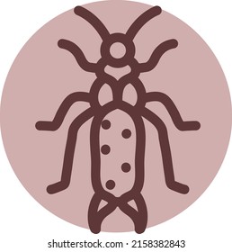 Grasshopper bug, illustration, vector on a white background.