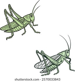 Grasshopper bundle design art and illustrator eps