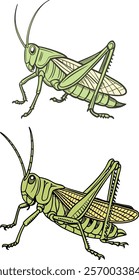 Grasshopper bundle design art and illustrator eps