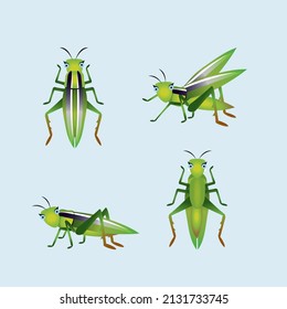 Grasshopper Cartoon for logo or Mascot, Vector.