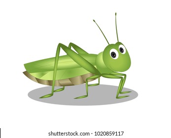 Grasshopper with Character Expressions Vector Image