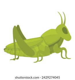 Grasshopper character icon cartoon vector. Art ant. Locust pest fun