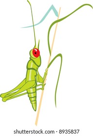 Grasshopper Climbing Stock Vector (Royalty Free) 8935837 | Shutterstock