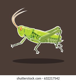 Grasshopper color green isolated on white background, vector illustration.