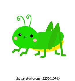 Grasshopper. Cute cartoon character. White background. Isolated. Baby insect collection. Flat design Vector illustration