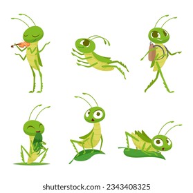 Grasshopper. Cute Cartoon-Insekten in Aktion stellen exakte Vektorgrafik von Grasshopfern dar