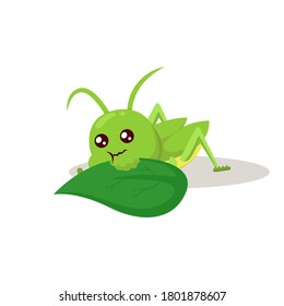 Grasshopper cute mascot insect design illustration