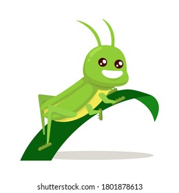 Grasshopper cute mascot insect design illustration