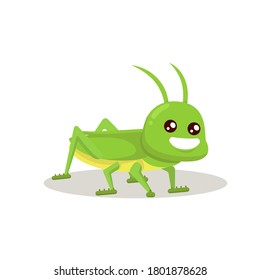 Grasshopper cute mascot insect design illustration