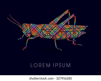 Grasshopper, designed using colorful line graphic vector.