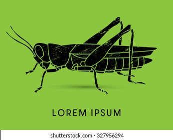 Grasshopper, designed using grunge brush graphic vector.