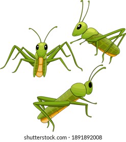 Grasshopper in diferent poses. Cartoon style vector illustration.