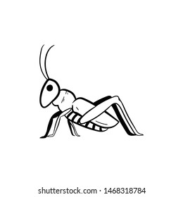 Grasshopper Doodle Hand Drawing Vector 