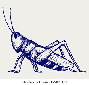 Grasshopper. Doodle style