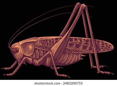 Grasshopper. Editable hand drawn illustration. Vector vintage engraving. Isolated on black background. 8 EPS