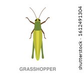 Grasshopper  flat icon on white transparent background. You can be used grasshopper icon for several purposes.