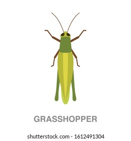 Grasshopper  flat icon on white transparent background. You can be used grasshopper icon for several purposes.