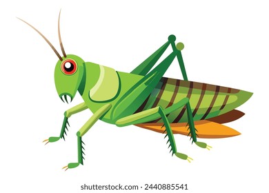 Grasshopper flat isolated vector illustration