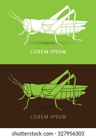 Grasshopper, graphic vector.