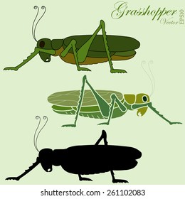 grasshopper, green jumper insect, silhouette side view, grasshopper vector, 
grasshopper color image, grasshopper flat style, insect web icon, grasshopper concept design,  grasshopper art image set