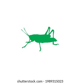 Grasshopper Green Silhouette Vector On A White Background