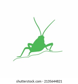 Grasshopper green vector insect icon, logo design silhouette
