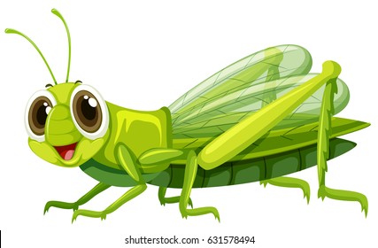 Grasshopper With Happy Face Illustration