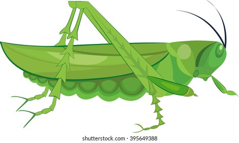 1,119 Grasshopper eggs Images, Stock Photos & Vectors | Shutterstock