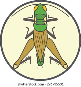 grasshopper icon