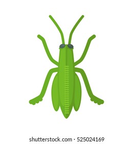 grasshopper. Icon of bright green small insect with antenna. Cartoon vector illustration in flat style isolated on white background.