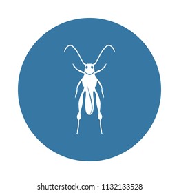 grasshopper icon. Element of insect icons for mobile concept and web apps. Badge style grasshopper icon can be used for web and mobile apps