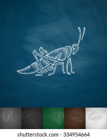 grasshopper icon. Hand drawn vector illustration. Chalkboard Design