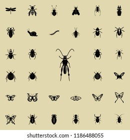 grasshopper icon. insect icons universal set for web and mobile