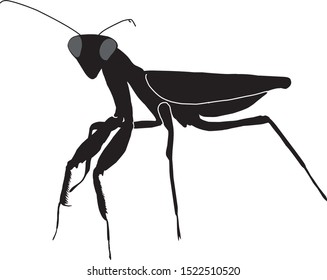 Grasshopper icon insect silhouette logo