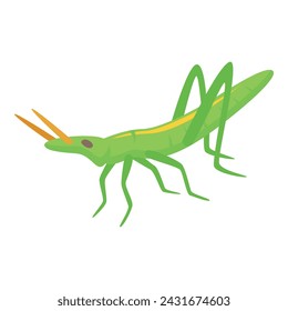 Grasshopper icon isometric vector. Nature insect. Smile leg locust