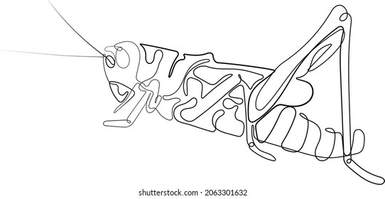 Icono de grasshopper en ilustración vectorial de estilo lineal. Dibujo continuo de una línea de la silueta de saltamontes aislada sobre fondo blanco. Grasshopper para fondo, logo o tatuaje.